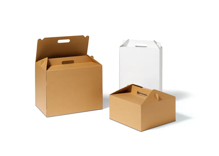 Onbedrukte goodiebox met handvat