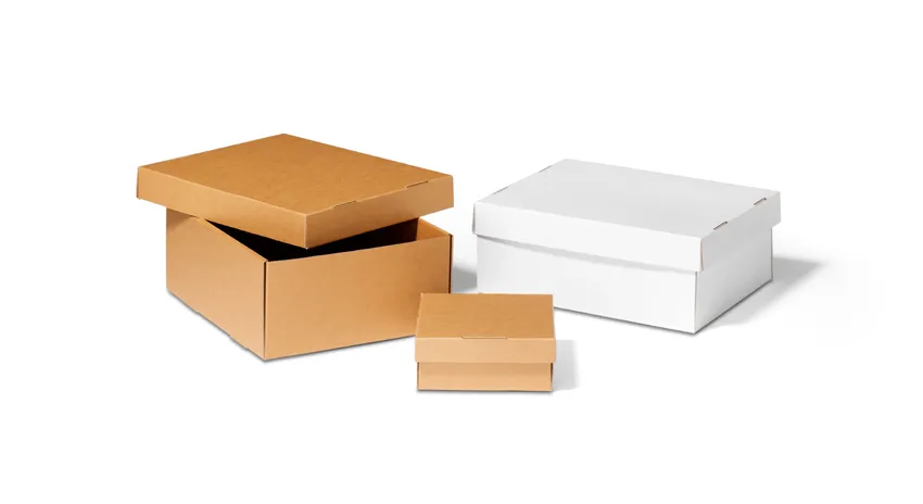 Opbergdozen met afneembare deksel wit en bruin karton